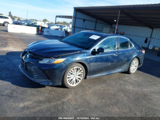 4T1F31AK5LU525118 Toyota Camry Xle Hybrid