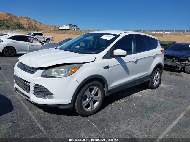 Ford ESCAPE SE 2014 1FMCU0GX1EUE13495 Image 2