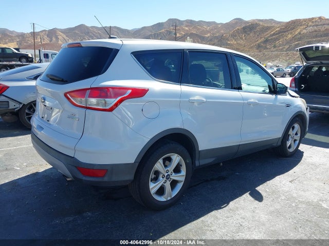 Ford ESCAPE SE 2014 1FMCU0GX1EUE13495 Image 4