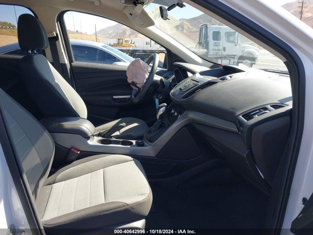 Ford ESCAPE SE 2014 1FMCU0GX1EUE13495 Image 5