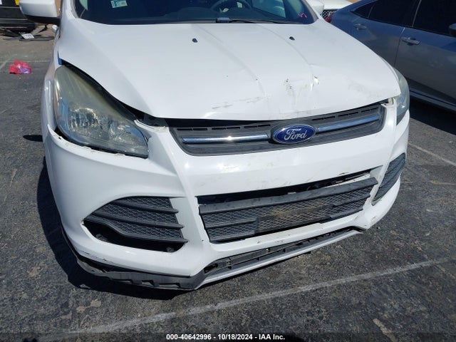 Ford ESCAPE SE 2014 1FMCU0GX1EUE13495 Image 6