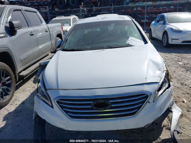 5NPE34AF7FH087494 Hyundai Sonata Sport