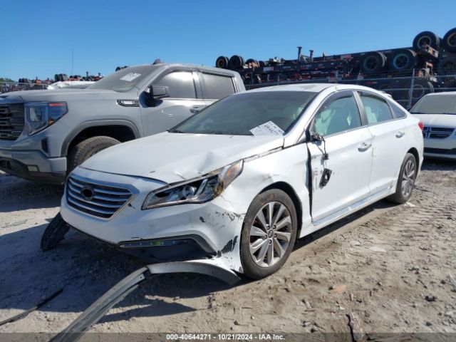 5NPE34AF7FH087494 Hyundai Sonata Sport