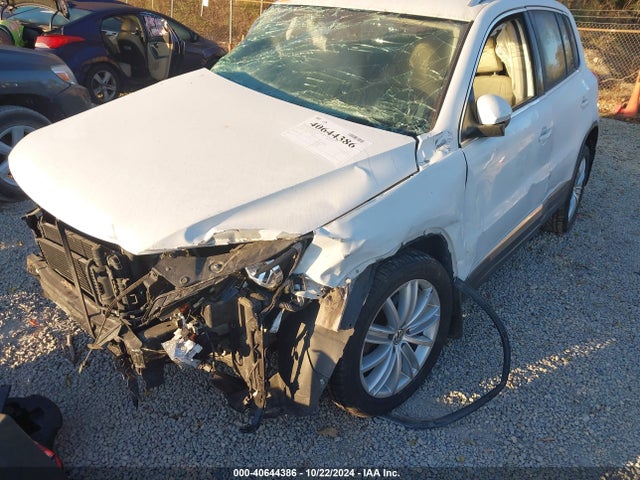 Volkswagen TIGUAN SE 2014 WVGBV3AX0EW568367 Image 17