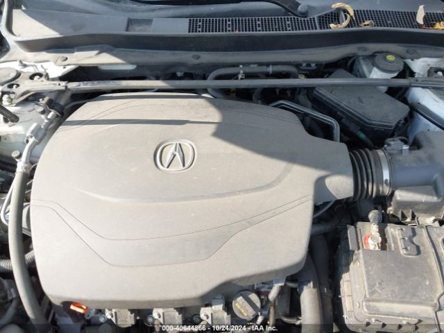 19UUB2F38KA010153 Acura Tlx Standard