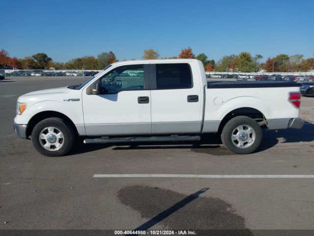 1FTEW1CM7EFA09968 Ford F-150 Xlt