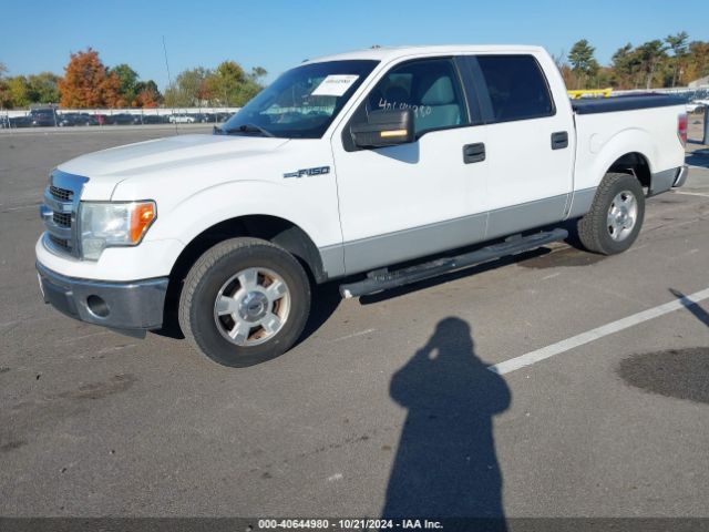 1FTEW1CM7EFA09968 Ford F-150 Xlt