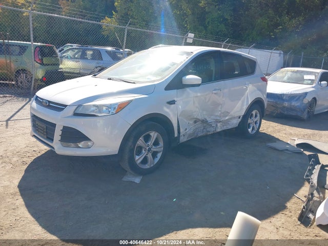 Ford ESCAPE SE 2014 1FMCU9G97EUA60041 Image 2