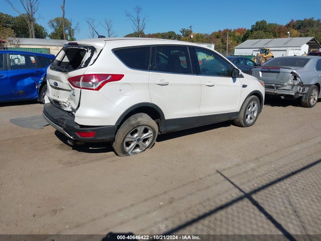 Ford ESCAPE SE 2014 1FMCU9G97EUA60041 Image 4