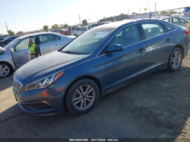 5NPE24AF4GH281307 Hyundai SONATA SE