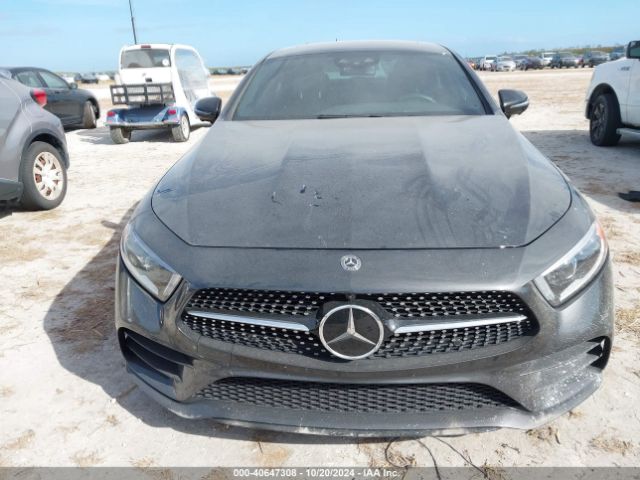 W1K2J5JB3MA086848 Mercedes-Benz CLS 450