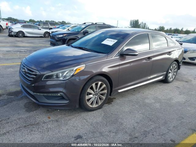5NPE34AF2GH425322 Hyundai Sonata Sport