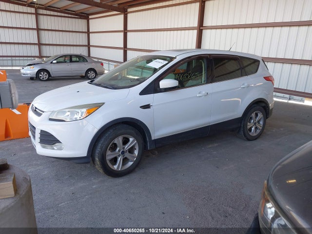 Ford ESCAPE SE 2014 1FMCU9G99EUB45639 Image 2
