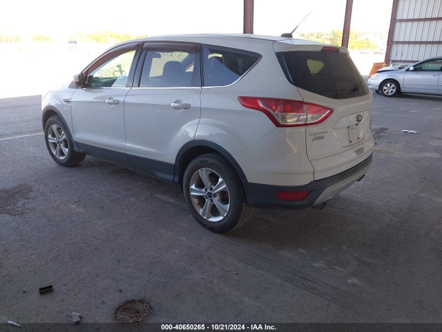 Ford ESCAPE SE 2014 1FMCU9G99EUB45639 Image 3