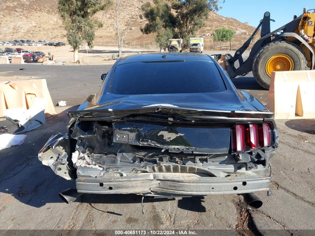 Ford Mustang Ecoboost 2015 1FA6P8TH8F5384164 Image 16