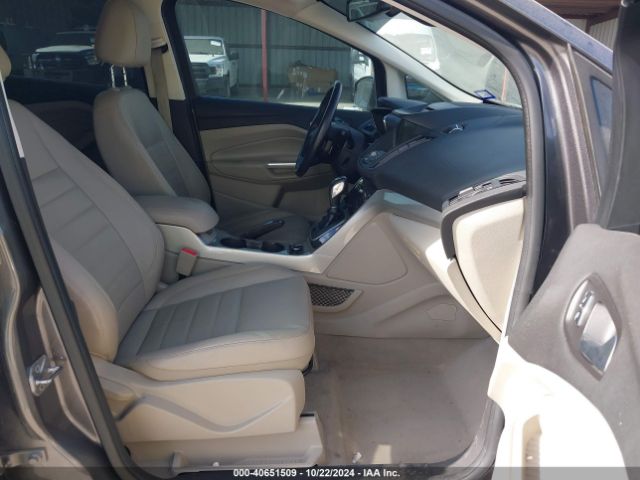 1FADP5CU7EL516585 Ford C-max Energi Sel