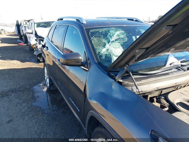 Jeep Cherokee Limited 2015 1C4PJLDS4FW696103 Image 6