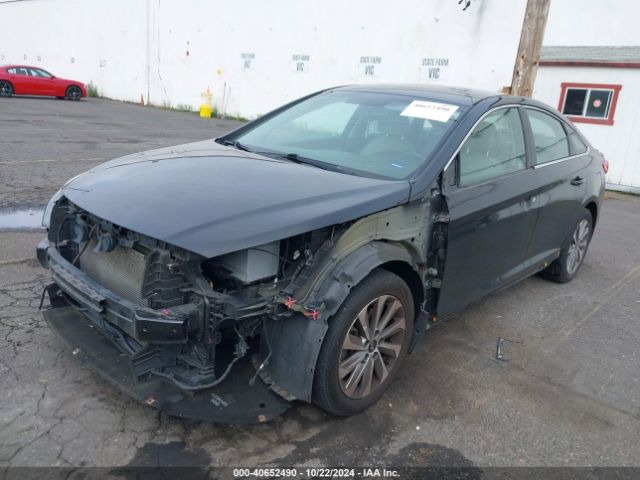 5NPE34AF0GH291734 Hyundai Sonata Sport