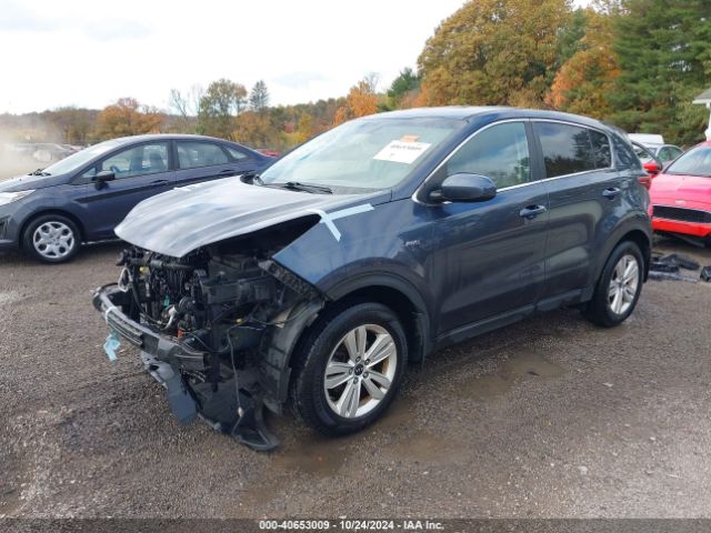 2017 KIA SPORTAGE KNDPMCAC5H7167583 Photo 1