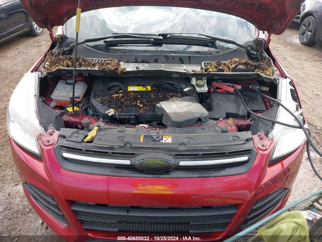 Ford ESCAPE SE 2015 1FMCU9GX9FUA76886 Image 10