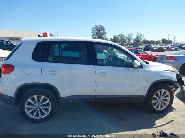 WVGAV3AX5EW554511 Volkswagen TIGUAN SE