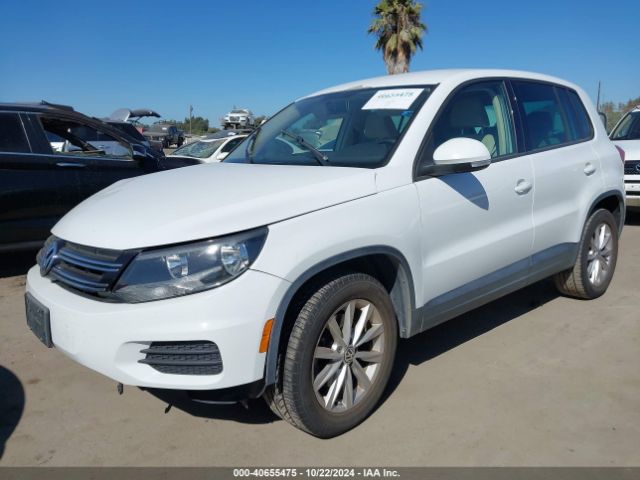 WVGAV3AX5EW554511 Volkswagen TIGUAN SE