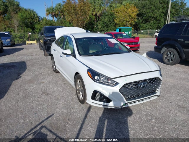 Hyundai SONATA SEL 2019 5NPE34AF8KH768306 Image 1