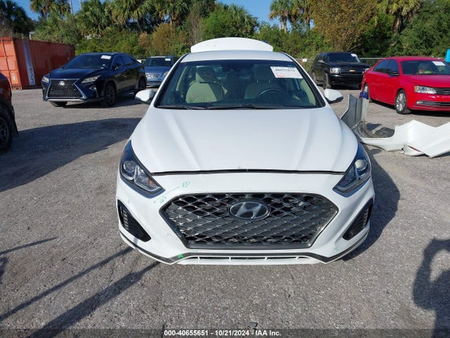 Hyundai SONATA SEL 2019 5NPE34AF8KH768306 Image 13