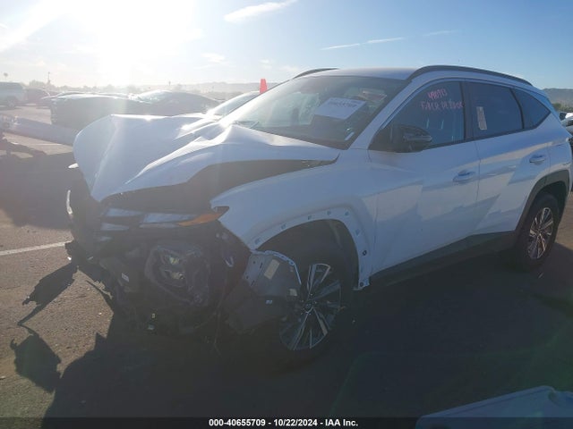 KM8JBCA11PU131427 Hyundai Tucson Hybrid Blue