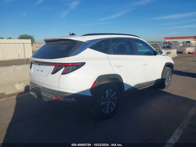 KM8JBCA11PU131427 Hyundai Tucson Hybrid Blue
