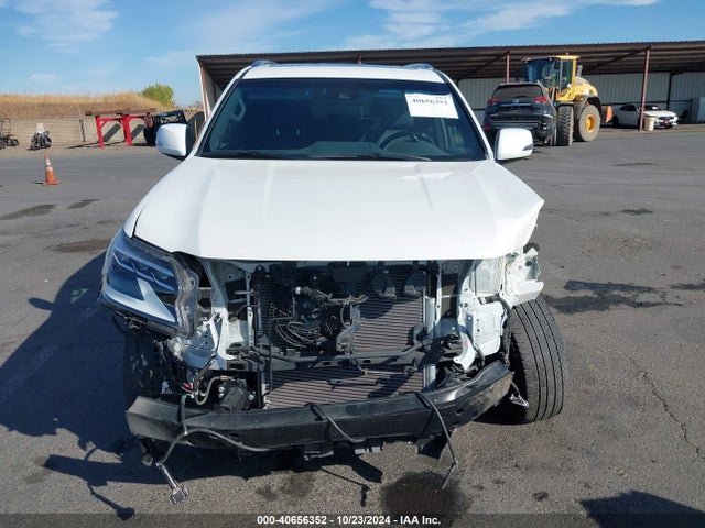 Lexus 460 Premium 2020 JTJAM7BX6L5246373 Image 13