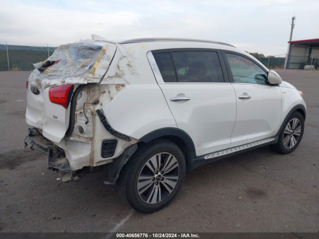 KNDPCCAC4E7644583 KIA Sportage Ex