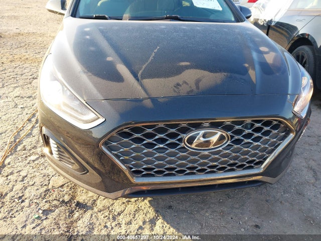 Hyundai SONATA SEL 2019 5NPE34AF4KH750997 Image 12