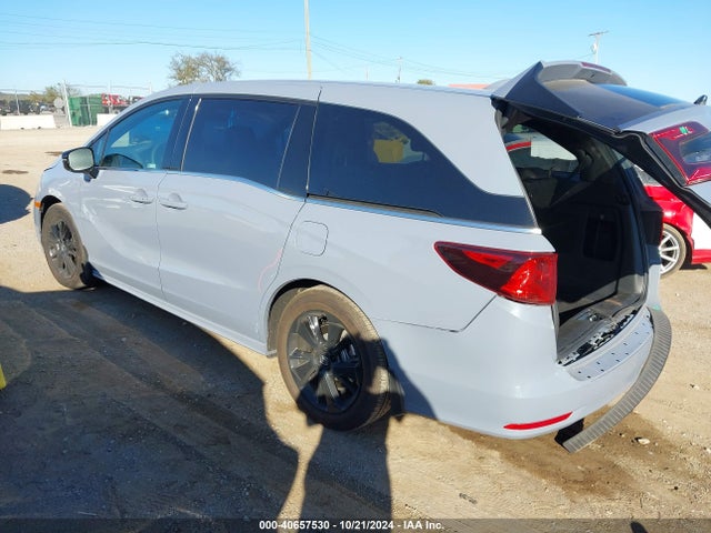 Honda Odyssey Sport 2024 5FNRL6H72RB058497 Image 3