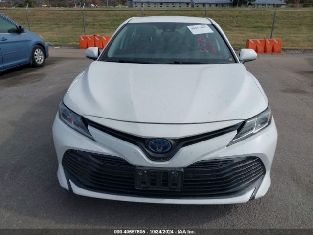 4T1C31AK5LU011157 Toyota Camry Le Hybrid