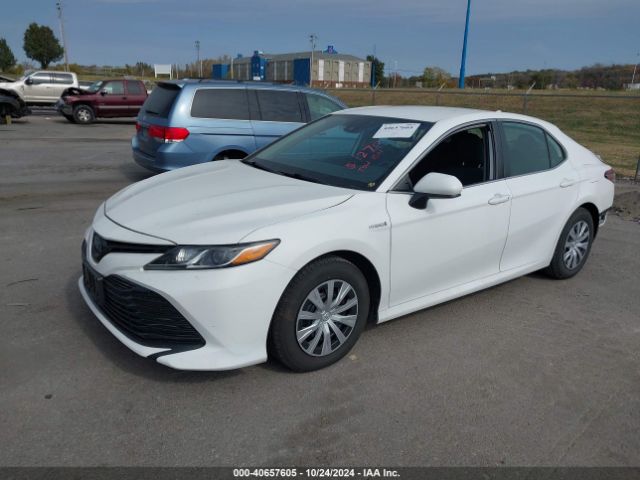 4T1C31AK5LU011157 Toyota Camry Le Hybrid