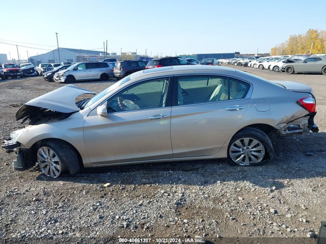 Honda ACCORD EX 2015 1HGCR2F78FA274120 Image 14