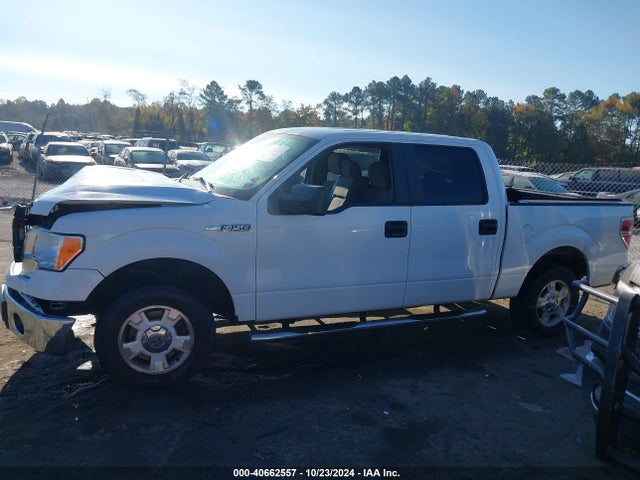 Ford F-150 Xlt 2014 1FTFW1CF1EFB86621 Image 14