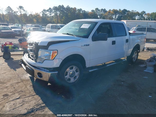Ford F-150 Xlt 2014 1FTFW1CF1EFB86621 Image 2