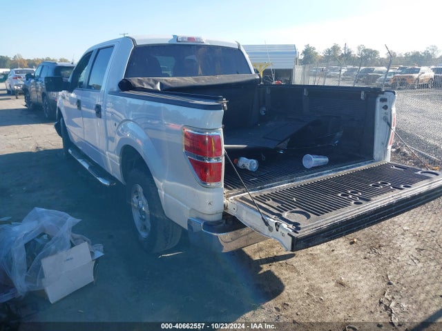 Ford F-150 Xlt 2014 1FTFW1CF1EFB86621 Image 3