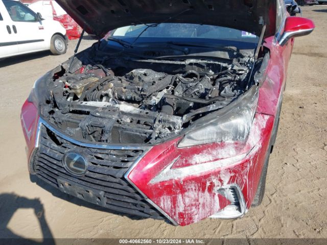 JTJDARDZ2L5005085 Lexus NX 300