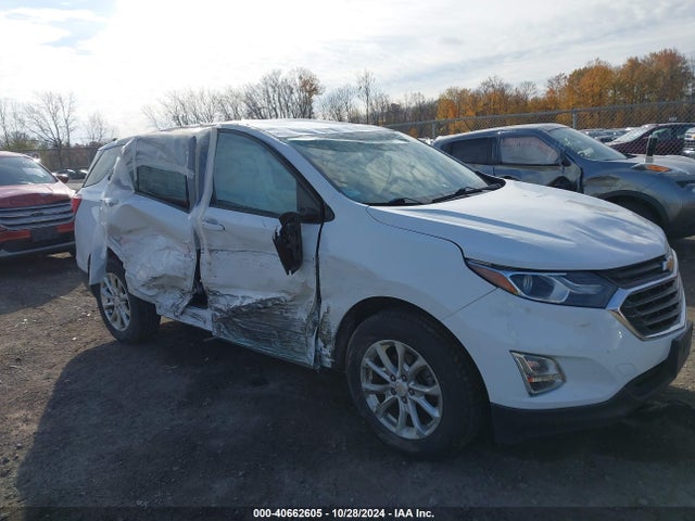 Chevrolet EQUINOX LS 2019 2GNAXHEV7K6173406 Image 1