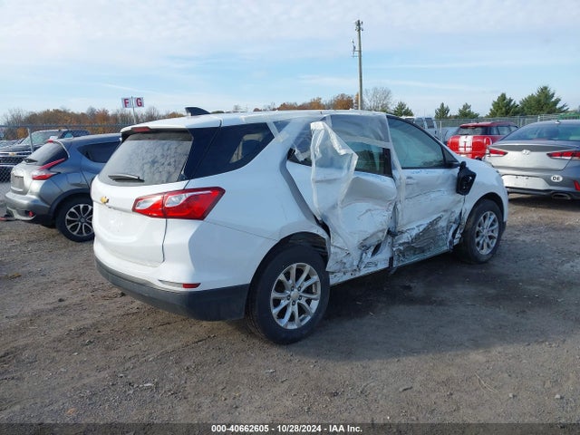 Chevrolet EQUINOX LS 2019 2GNAXHEV7K6173406 Image 4
