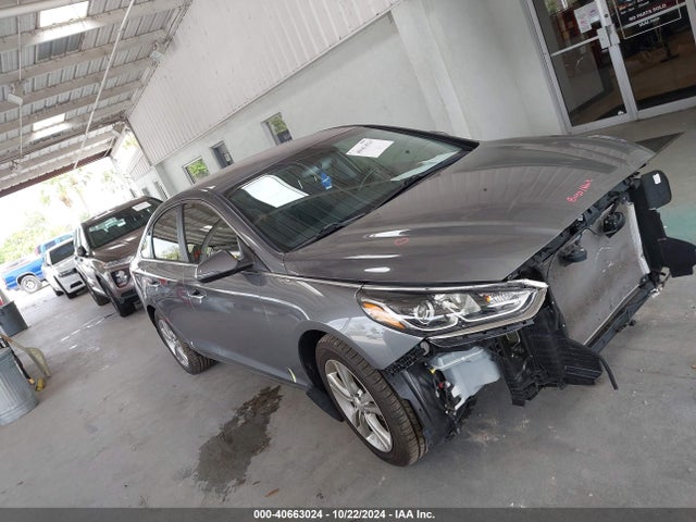Hyundai SONATA SEL 2019 5NPE34AF6KH752086 Image 13