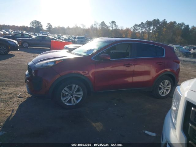 KNDPM3AC5H7295094 KIA Sportage Lx