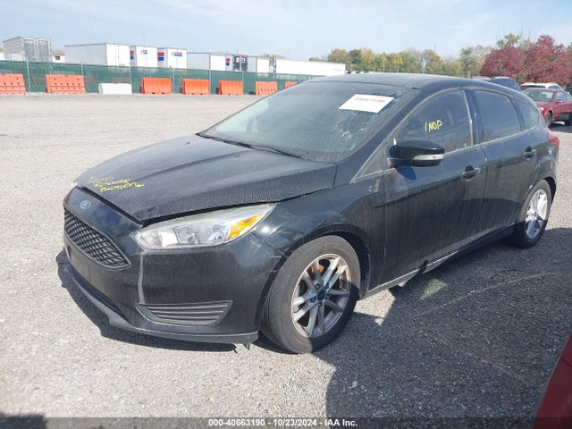 Ford FOCUS SE 2016 1FADP3K27GL364069 Image 2
