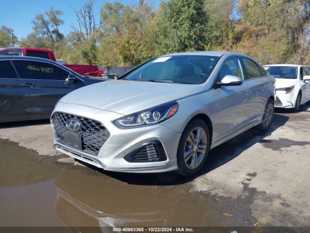 5NPE34AF6KH783676 Hyundai SONATA SEL