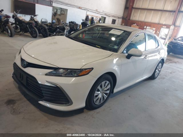 4T1C31AK1RU631206 Toyota Camry Hybrid Le
