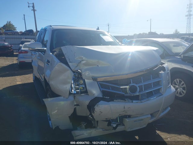 2010 CADILLAC ESCALADE 1GYUCDEF0AR235812 Photo 0
