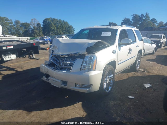 2010 CADILLAC ESCALADE 1GYUCDEF0AR235812 Photo 1